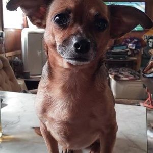 Meet your Posher, Mike